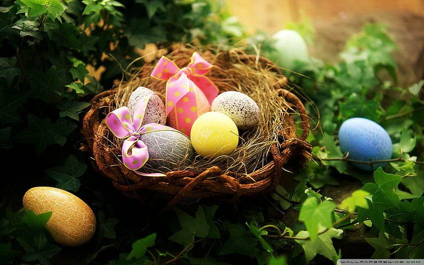 Easter Greetings Ultra Backgrounds for U, easter laptop HD wallpaper