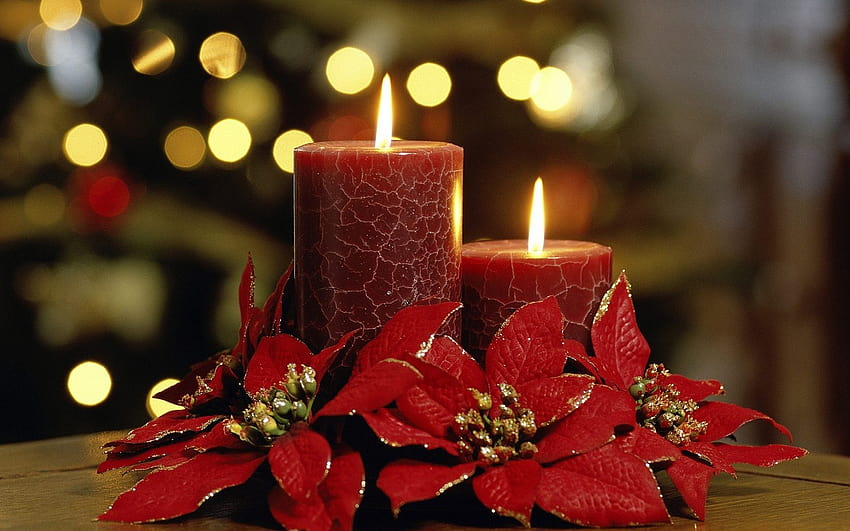: flowers, red, candles, Christmas, holiday, autumn, candle, lighting, petal, decor, christmas decoration, floristry, flower arranging, floral design, centrepiece 1920x1200 HD wallpaper