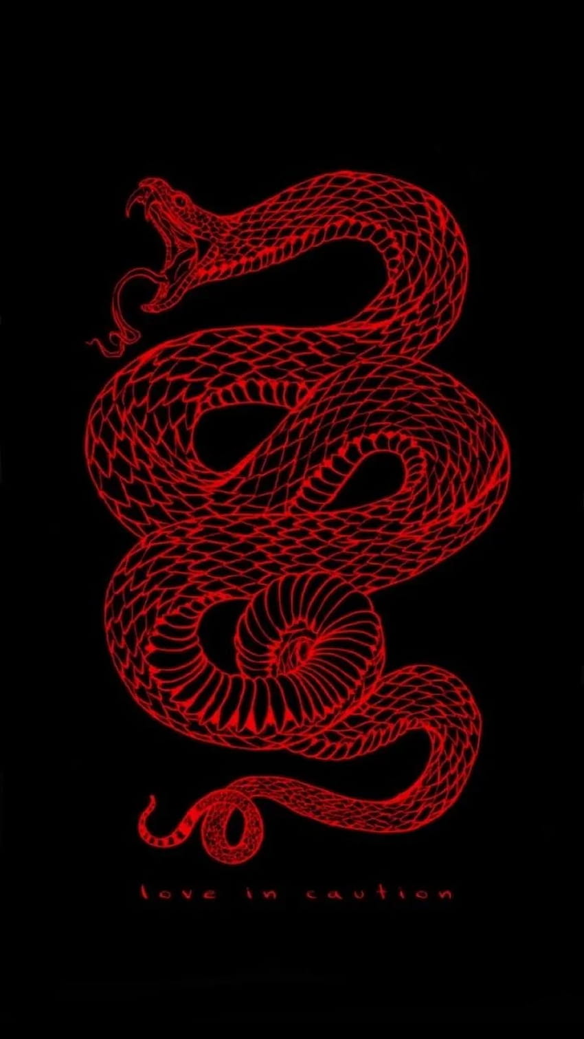 Snake Tattoo Dark HD Artist 4k Wallpapers Images Backgrounds Photos  and Pictures