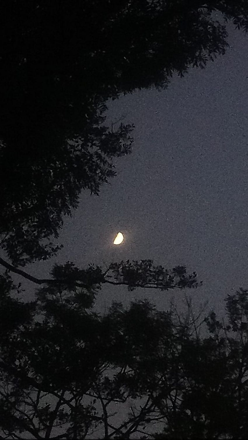 Ästhetisches Mond- und Dunkelhimmel-Nachtmaterial HD-Handy-Hintergrundbild