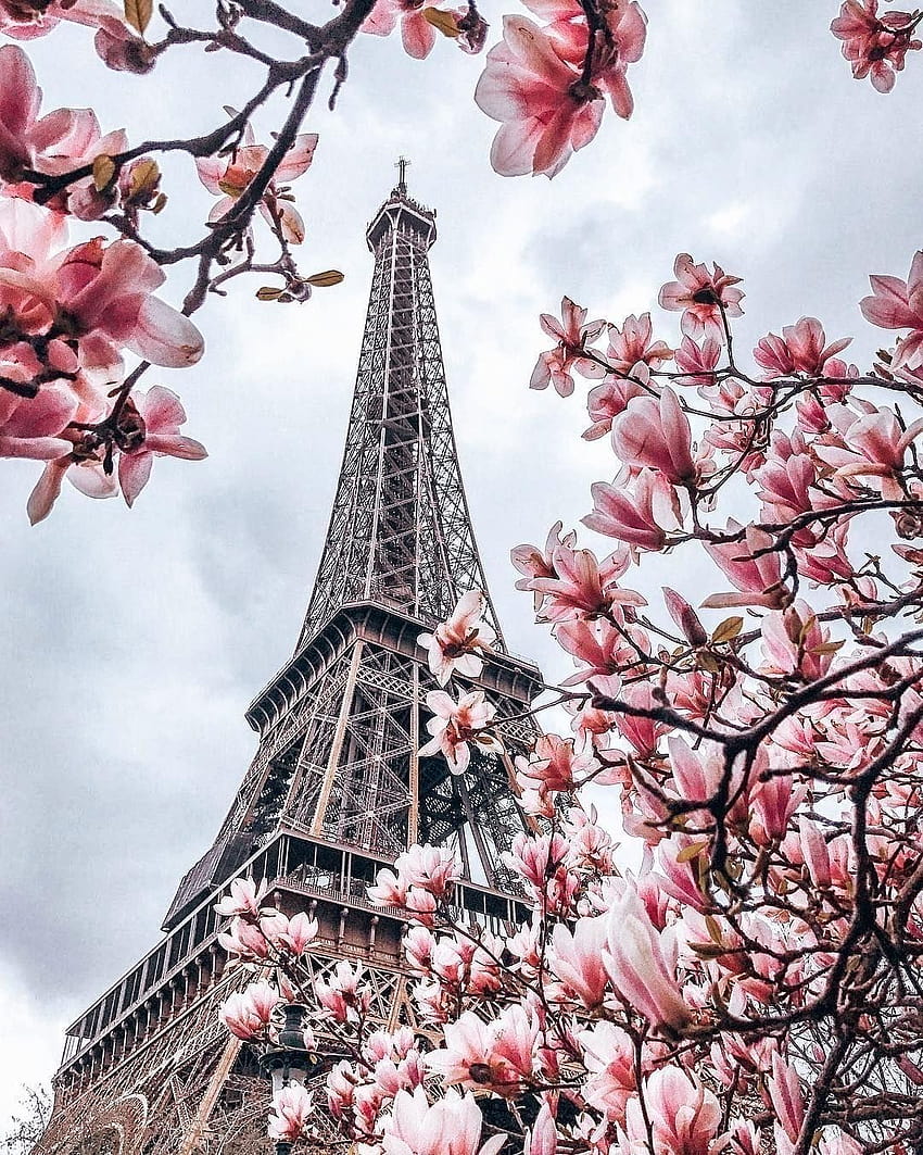 Paris, Frankreich, Pariser Frühling HD-Handy-Hintergrundbild