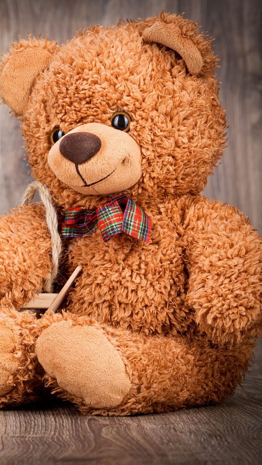Teddy Bear on Dog, estetica orsacchiotto Sfondo del telefono HD