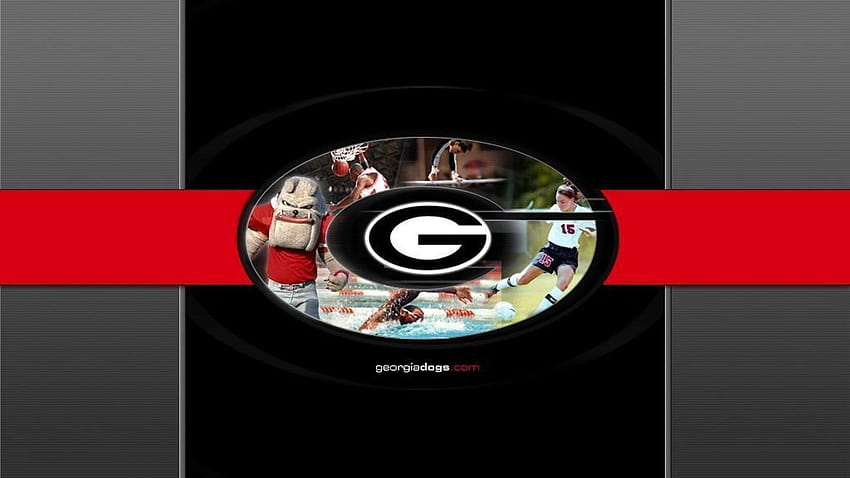 6 Uga Screensavers, university of georgia HD wallpaper | Pxfuel