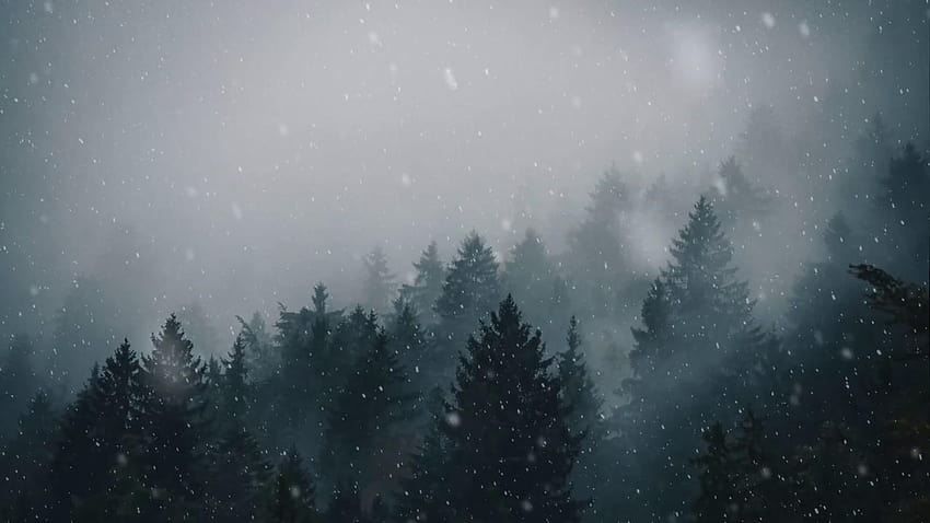 Neige de forêt animée pour moteur [ ], forêt de neige d'hiver Fond d'écran HD