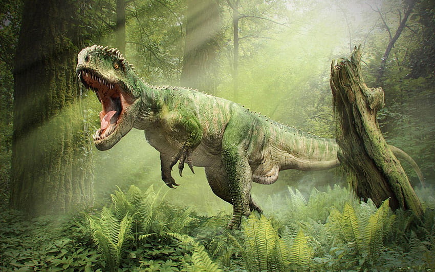 Fighting Dinosaurs Dinosaur Battle, peleas de dinosaurios fondo de pantalla  | Pxfuel