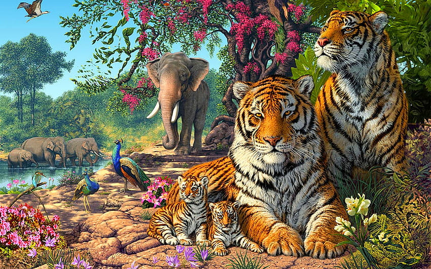 Tigerfamilie Exotische Vögel Paun Elefanten Dschungel Natur Für Tierliebhaber 1920x1200 : 13, exotische Tiere HD-Hintergrundbild