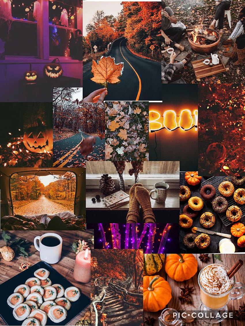 Fall/Halloween collage, halloween collage cute HD phone wallpaper | Pxfuel