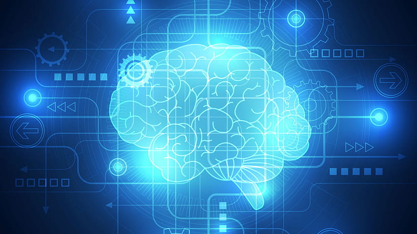 Artificial Intelligence Brain on Dog, business intelligence HD wallpaper