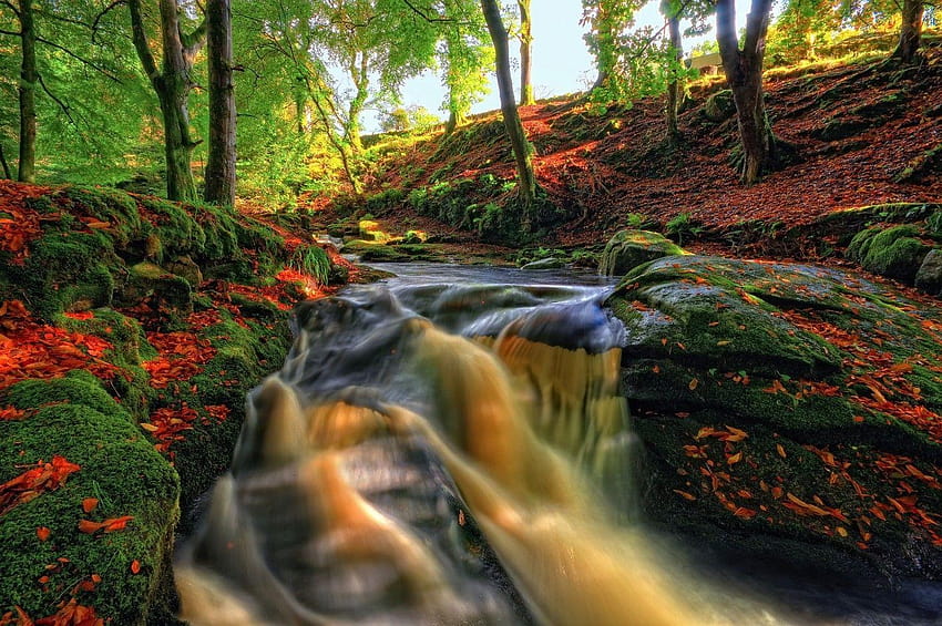 Other: Fall Leaves Rocks Autumn Waterfall Park Rain Water Forest, fairyland HD wallpaper