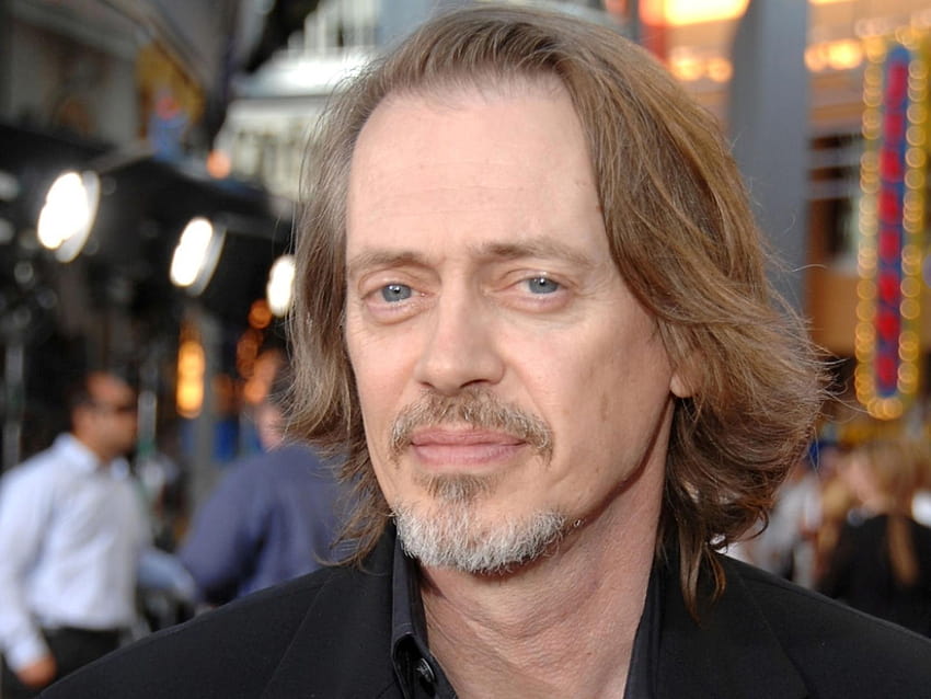 Steve Buscemi 11 HD wallpaper Pxfuel