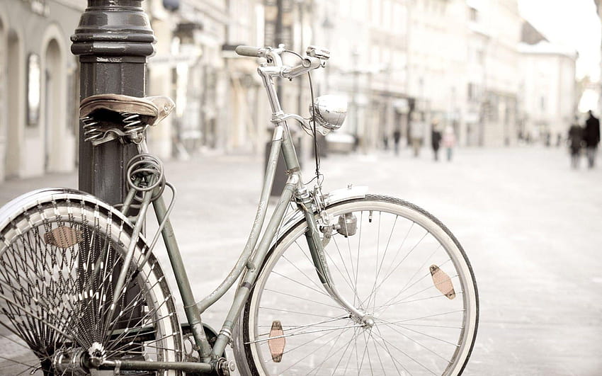 Showroom Bicycle, vintage bikes HD wallpaper