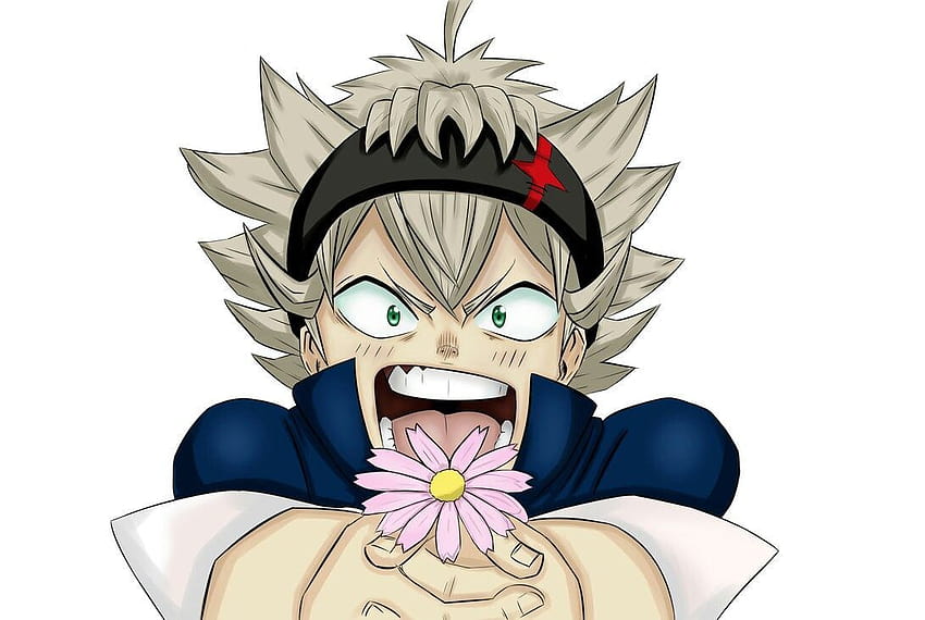 Asta is the flower for me? Aww how sweet. Or is it for sister, black clover aesthetic ps4 HD wallpaper
