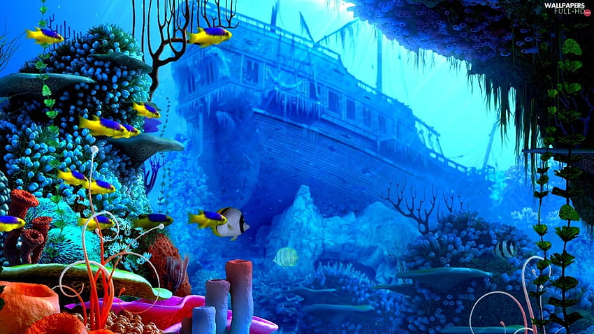 wreck, coral, Ocean, fish, reef, coral reef computer HD wallpaper