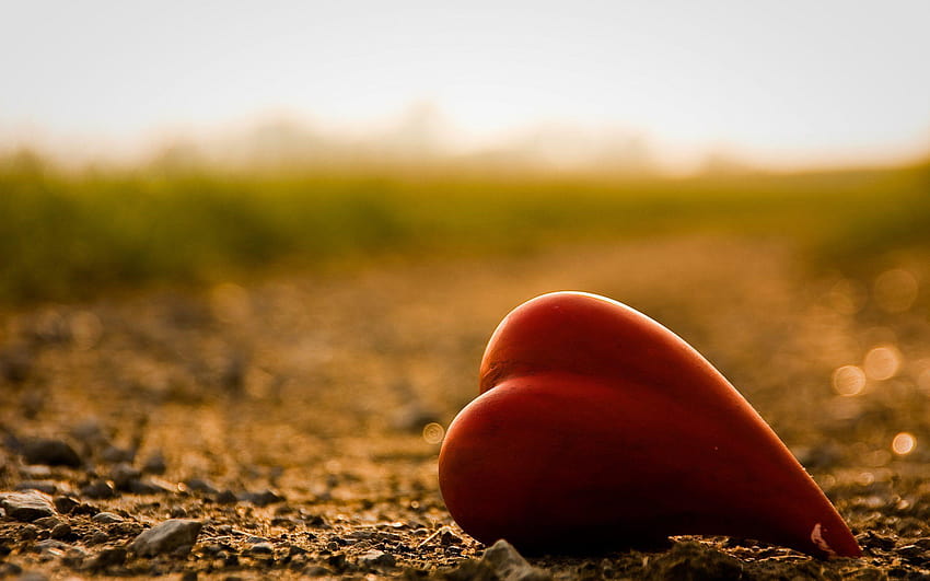 Heart touching background HD wallpapers | Pxfuel