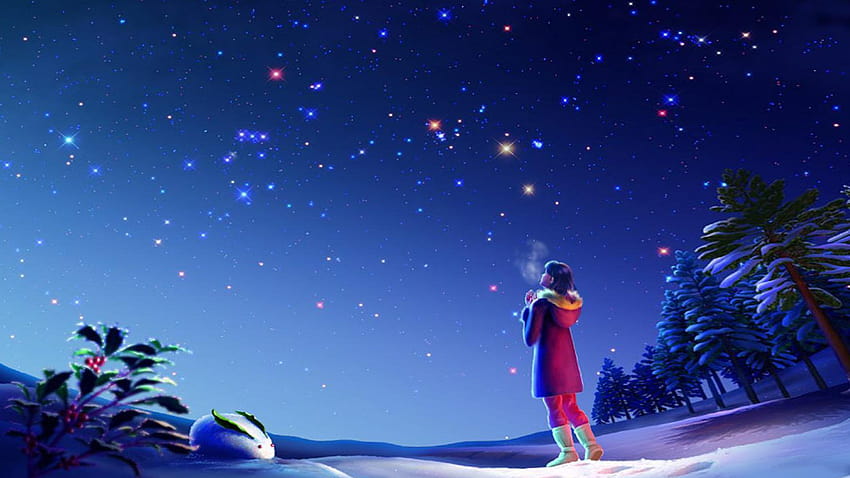 Malam Ajaib Bintang Langit Musim Dingin Natal 1920x1200 : 13 Wallpaper HD