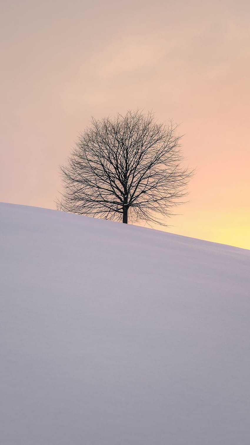 800x1420 tree, winter, minimalism, snow, hillock iphone se/5s/5c/5 for parallax backgrounds, minimalistic winter iphone HD phone wallpaper