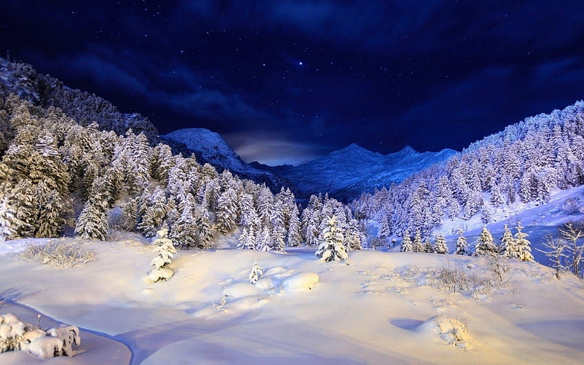 Winter: Sky Winter Trees Night Snow Nature Blue Stars Magic, night snow scenes HD wallpaper