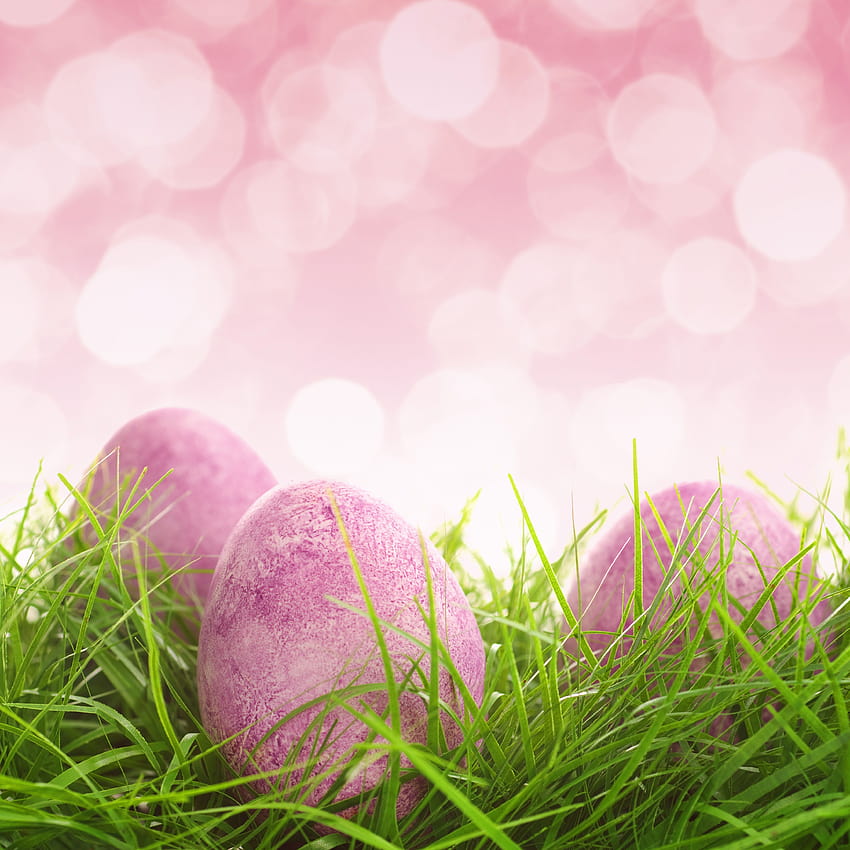 Easter Pink Backgrounds with Eggs and Grass HD phone wallpaper