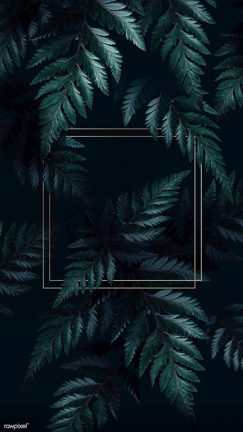 Premium-Illustration des quadratischen goldenen Rahmens auf einem alleinstehenden Dschungelmobil HD-Handy-Hintergrundbild