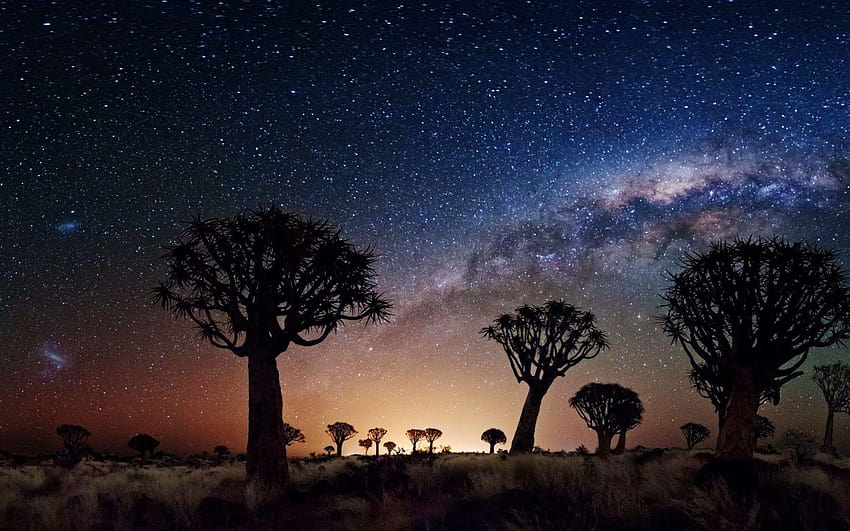 Нощен пейзаж Млечният път Дървета Пустинна зона В Нощен Джошуа, национален парк Джошуа HD тапет