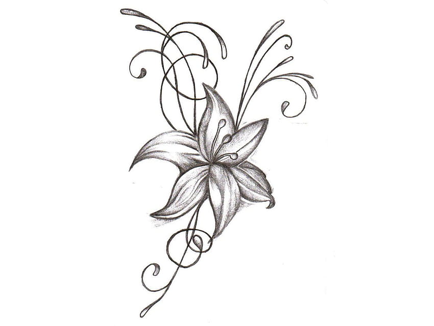 Lily Flower Tattoo Drawing HD wallpaper