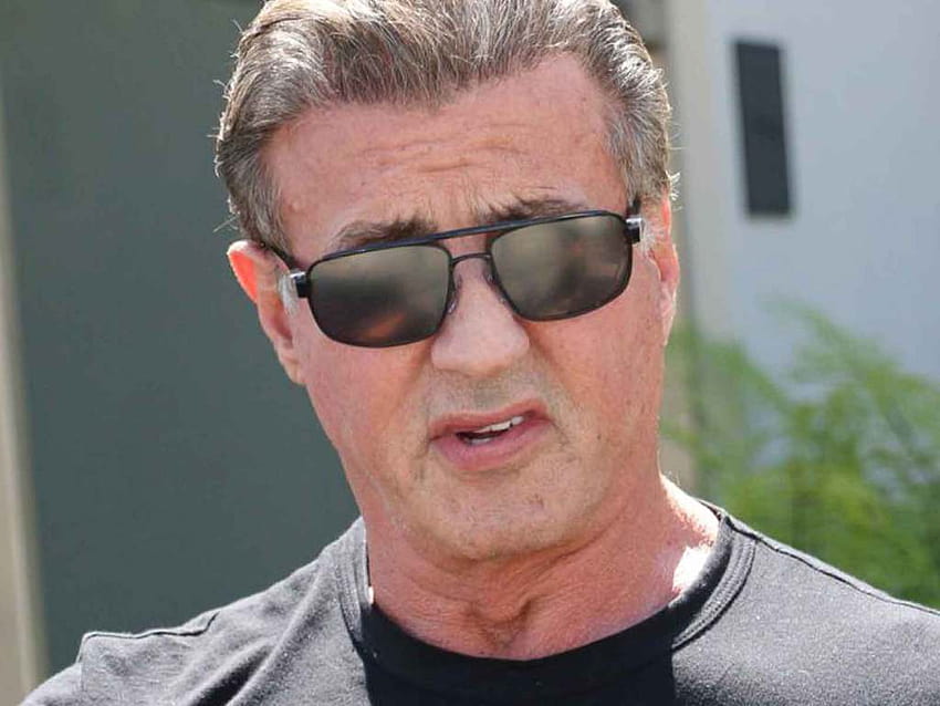 Sylvester Stallone Is Under Criminal Investigation for Sexual, sylvester stallone 2018 HD wallpaper