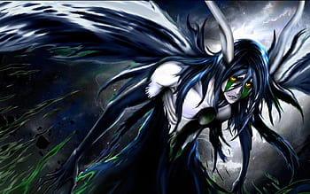 Ulquiorra Cifer, anime, splitting, Bleach, Kurosaki Ichigo, Espada -  wallpaper #63018 (2429x1326px) on