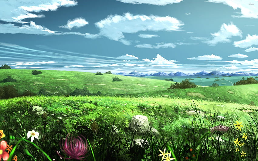 Over the hills, anime grass field HD wallpaper | Pxfuel