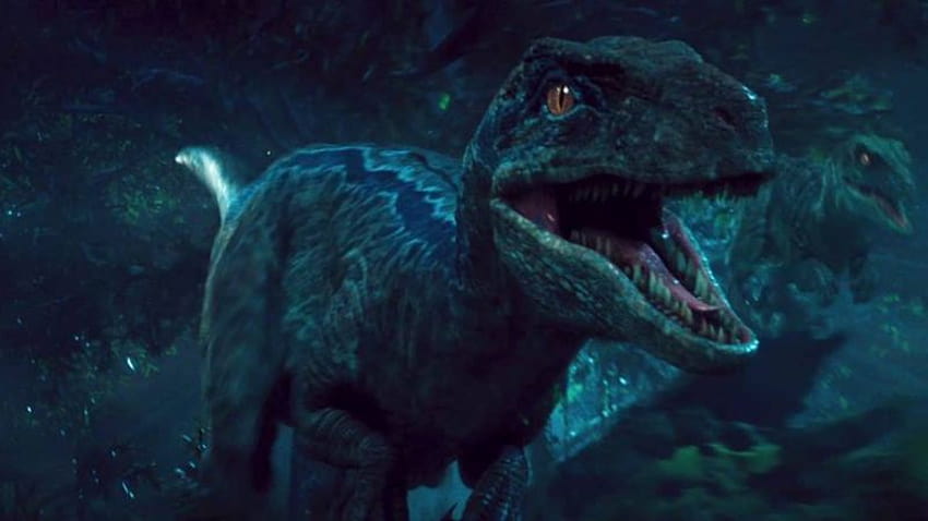 Jurassic World Blue the Raptor von sonichedgehog2 [960x478] für Ihr , Handy & Tablet HD-Hintergrundbild