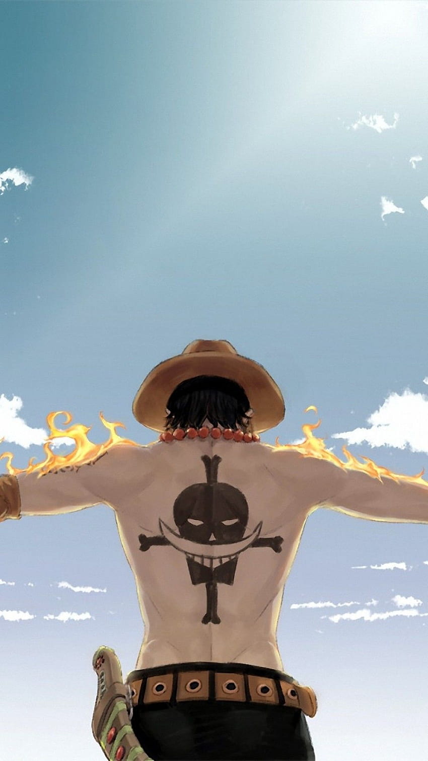 One Piece iPhone on Dog, one piece iphone 12 pro max HD phone wallpaper