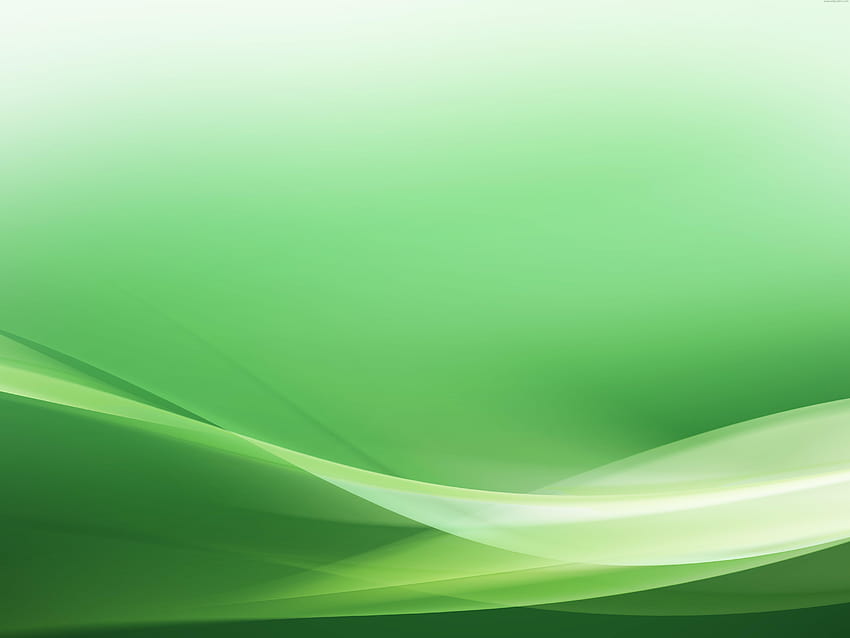 녹색 배경 그룹, 배경 hijau 고해상도 HD 월페이퍼