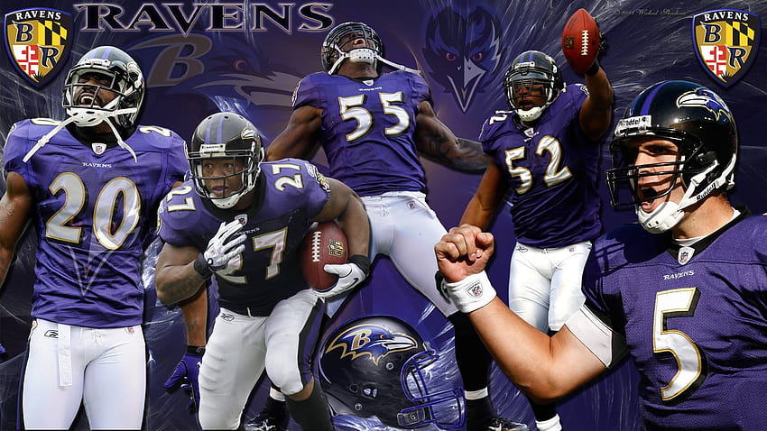 Baltimore Ravens 2014 HD wallpaper