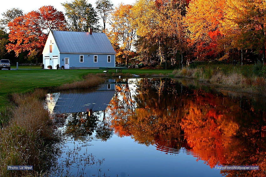 New England Fall HD wallpaper | Pxfuel