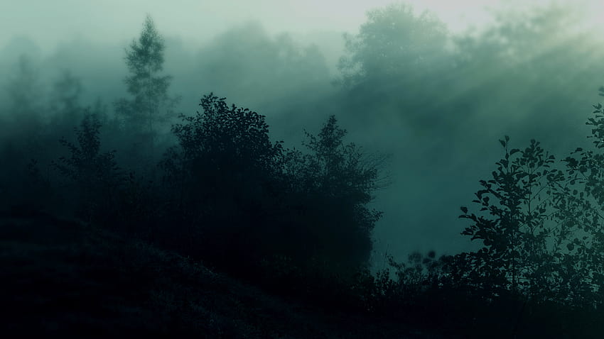 Тъмнозелен пейзаж, тъмнозелена гора HD тапет