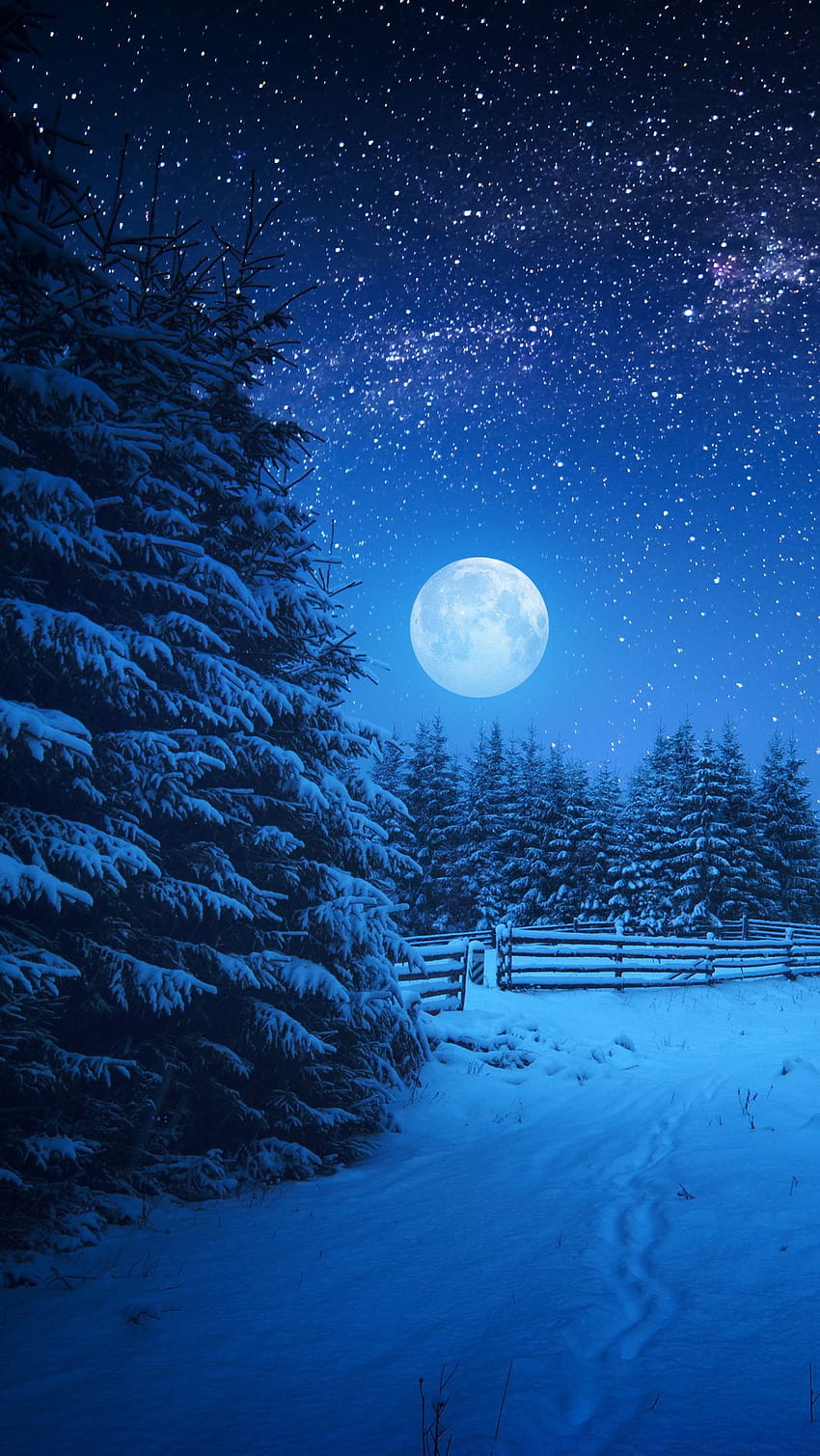 Noc Pełni Księżyca w sezonie zimowym Tapeta na telefon HD