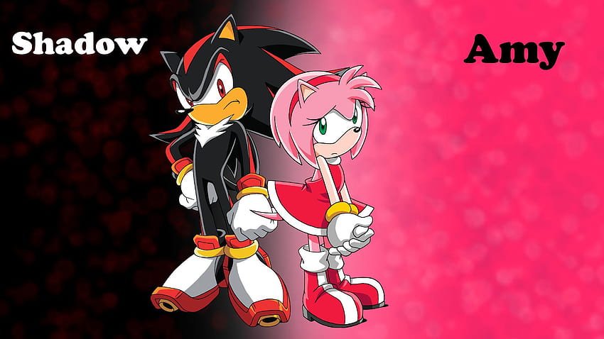 Shadow X Amy Fans Images Shadow Sitting Sonic X Hd - Shadow Sonic