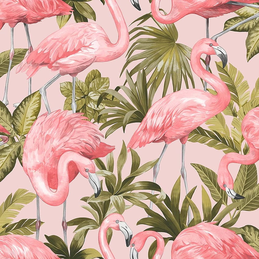 Flamingo in blush & pink, pink flamingo HD phone wallpaper