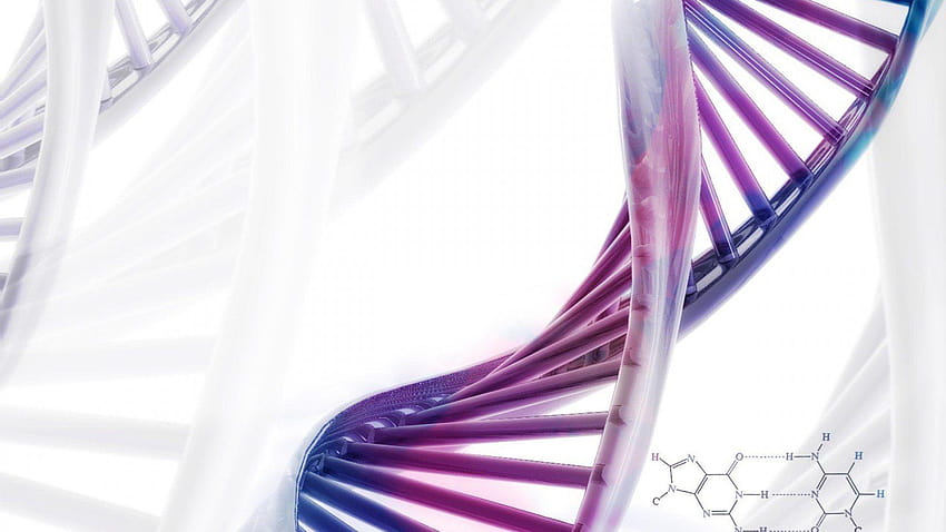 Chromosomen-Dna-Muster Genetisches 3D-Psychedelisch Bei 3D, Genetik HD-Hintergrundbild