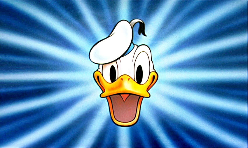 Donald Duck, quack HD wallpaper