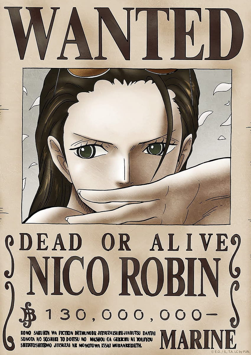 Tokiwa Corporation Anime ONE Piece Official Licensed Wanted Poster: New World: Posters & Prints HD phone wallpaper