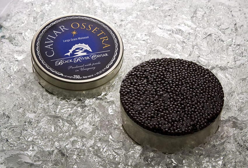 Caviar Preto Alta Qualidade papel de parede HD