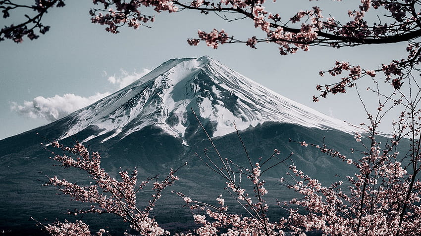 Mt. Fuji Local Landmark Zoom Backgrounds, mount fuji winter HD wallpaper