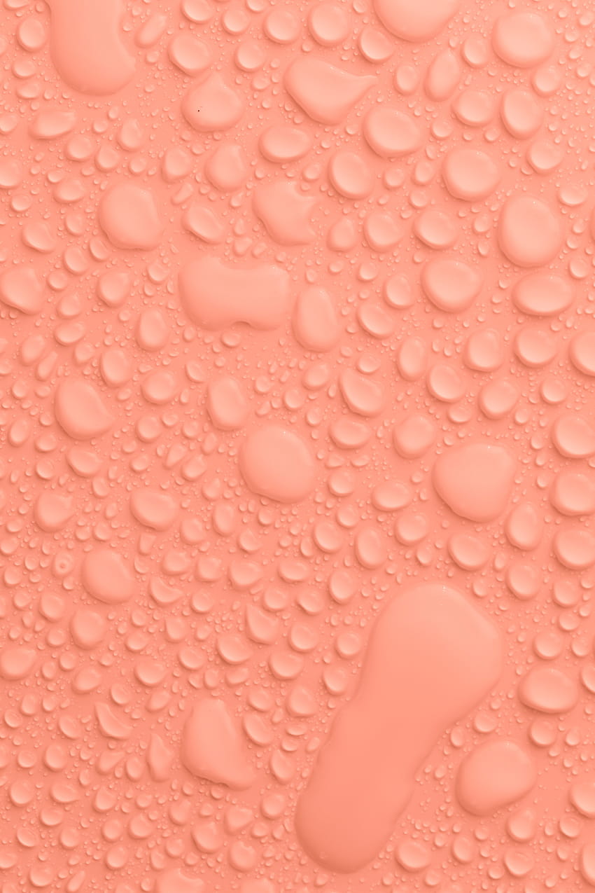 물방울이 있는 복숭아색 배경 · 스톡, 표면 방울은 분홍색 HD 전화 배경 화면