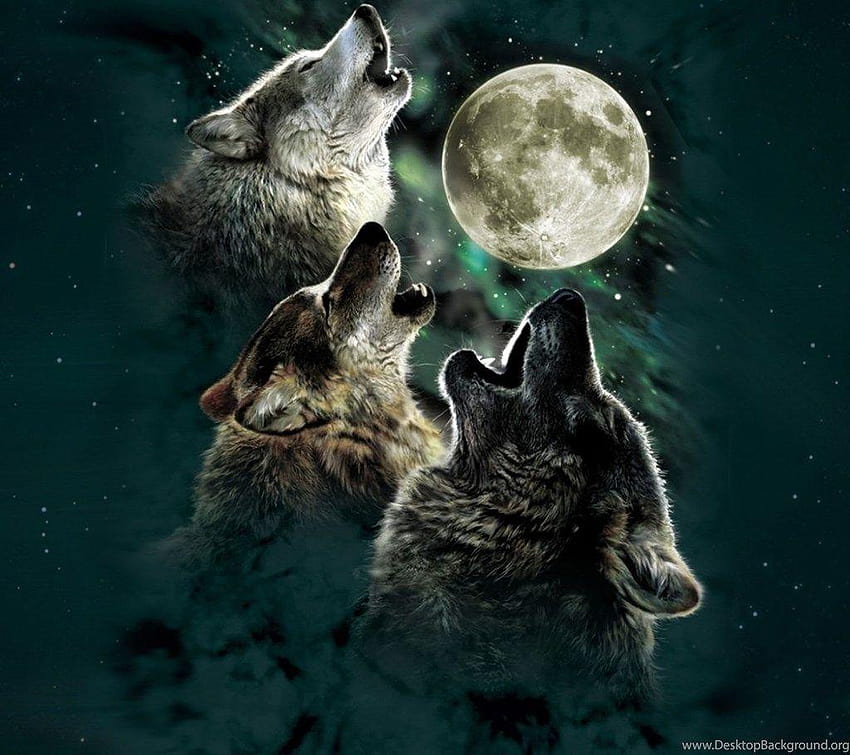 Other Wolves Moon Stars Wolf ~ Other For, wolf moon HD wallpaper