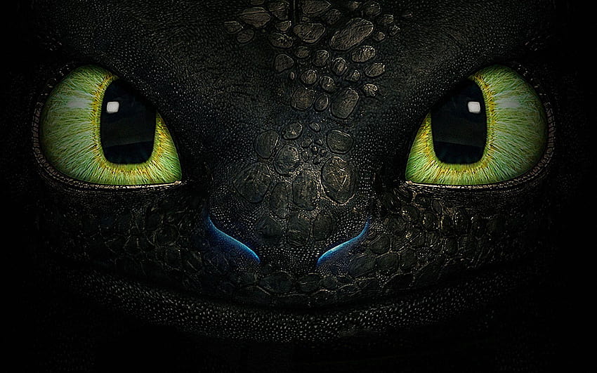 how to train your dragon 2 toothless HD wallpaper