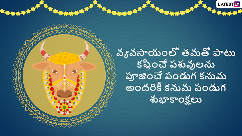 Happy Kanuma 2022 Telugu Wishes, & for Online: Celebrate Kanuma Festival With WhatsApp Messages, Pics and Greetings HD wallpaper