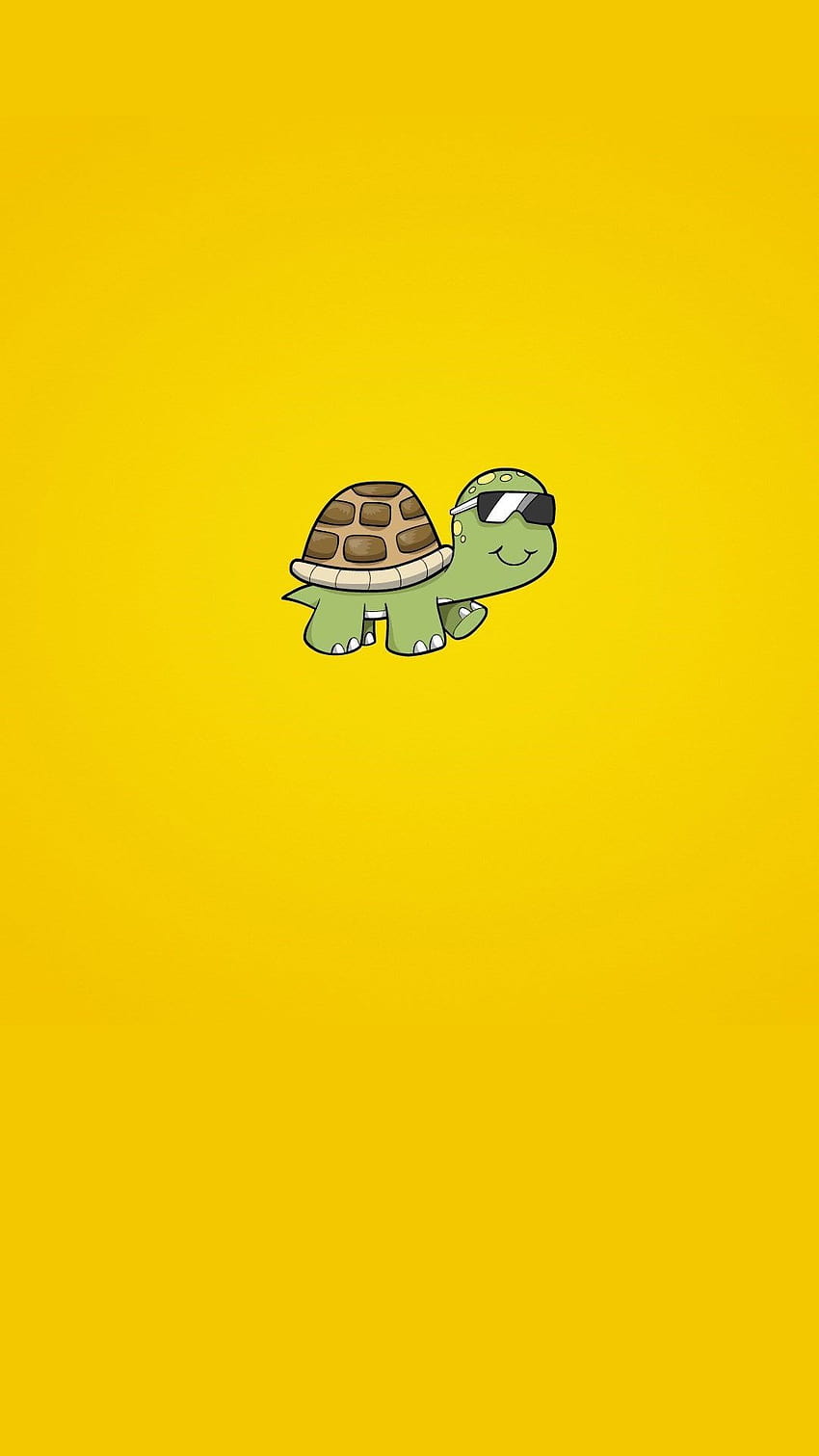 Cute Turtle, funny turtle HD phone wallpaper