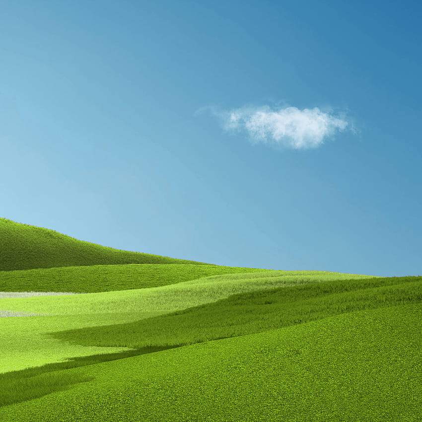 Aesthetic , Landscape, Grass field, Green Grass, Clear sky, Nature, sky and grass HD phone wallpaper
