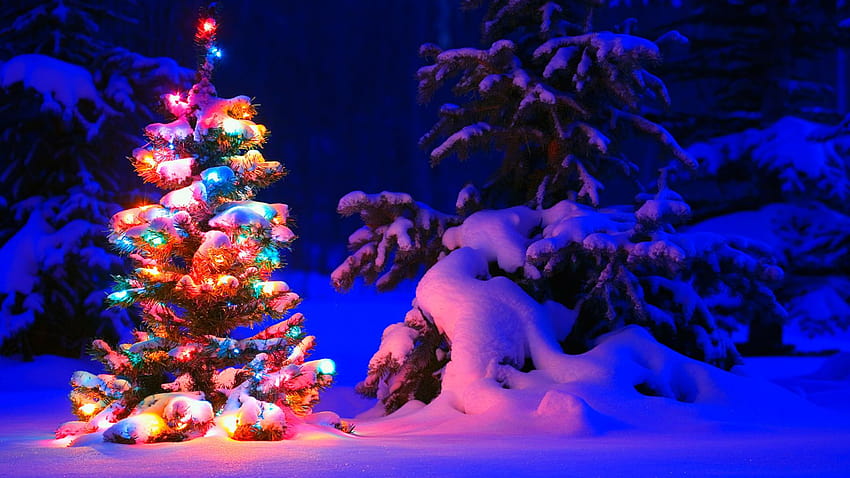 Snowy Christmas Tree Lights in 1600x900 resolution, christmas 1600x900 HD wallpaper