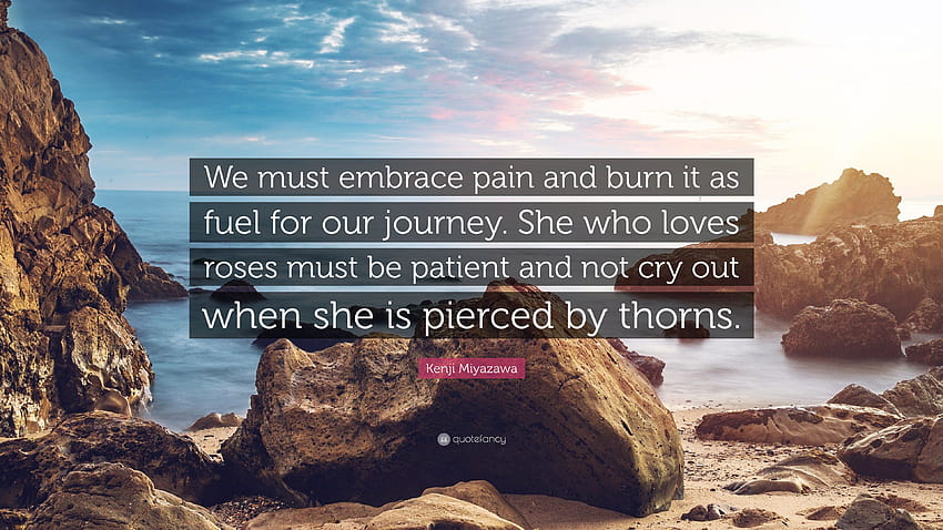 Kenji Miyazawa Quote: “We must embrace pain and burn it as fuel for our journey. She who loves roses must be patient and not cry out when she i...” HD wallpaper